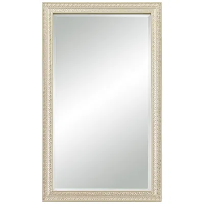 Noble Park Shaina Champagne Gold Wood 24" X 40" Rectangular Wall Mirror