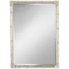 Noble Park Takeo 31" X 43" Rectangular Silver Bamboo Wall Mirror