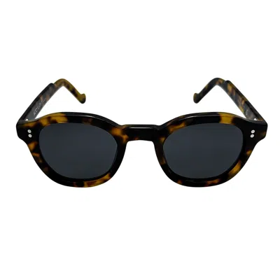 Nocturna Frames Women's Brown / Gold Haze Sunglasses – Tortoise In Multi