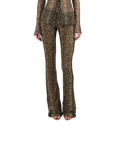 Nocturne Snake Print Low Rise Flare Trousers In Black