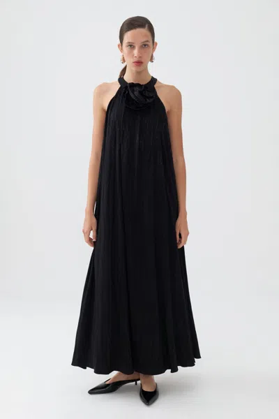 Nocturne Women's Black Maxi Dress With Halter Neck