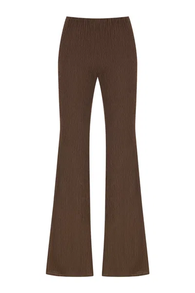 Nocturne Women's Brown Flared Pants - Coffee In Dark Brown