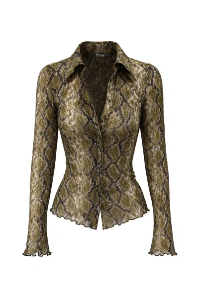 Nocturne Women's Snake Print Shirt In Brown
