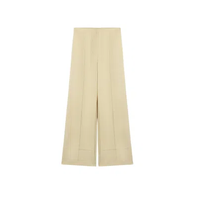 Nocturne Women's Yellow High-waist Tailored Wide-leg Pants In Brown