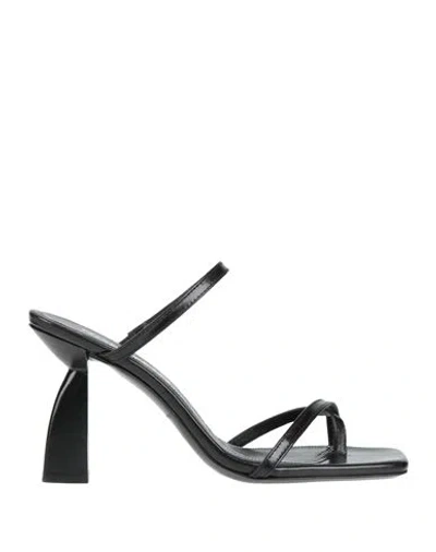 Nodaleto Woman Thong Sandal Black Size 7 Leather