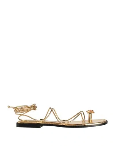 Nodaleto Woman Thong Sandal Gold Size 6 Lambskin In Gray