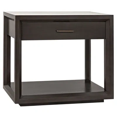 Noir Antony End Table With Storage In Pale