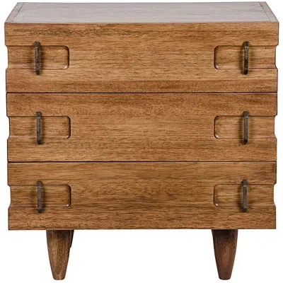 Noir David End Table With Storage In Dark Walnut