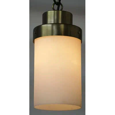Noir Eleonore 1-light Single Cylinder Pendant In Antique Brass