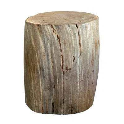 Noir Full Polished Fossil Stool In Brown