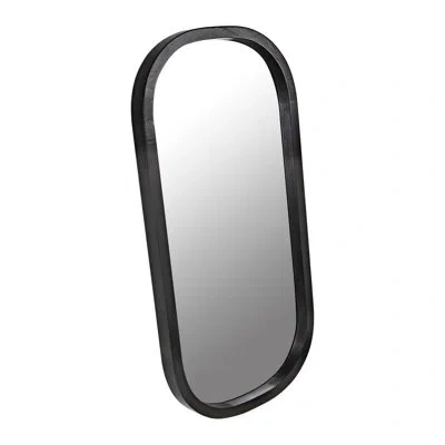 Noir Gorky Modern & Contemporary Accent Mirror