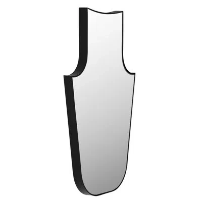 Noir Konstance Steel Free Form Mirror In Matte Black