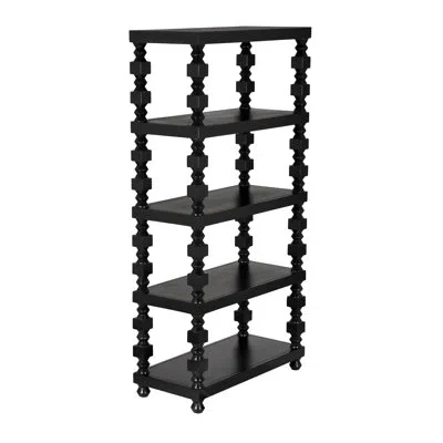Noir Moabite Bookcase In Hand Rubbed Black