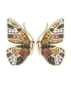 Noir Multi-colored Cubic Zirconia Butterfly Wing Stud Earring In Gold