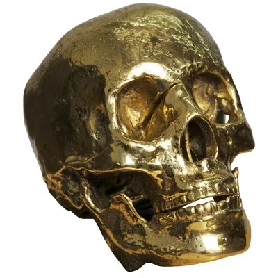 Noir My Grandfather Skull Sculpture In Antique Brass