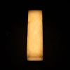 Noir Stein Linear Sconce In Silver