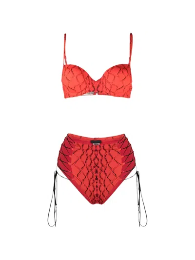 Noire Swimwear Snake Push-up Bikini In Red
