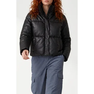 Noize Evita-x Water Resistant Crop Puffer Jacket In Espresso