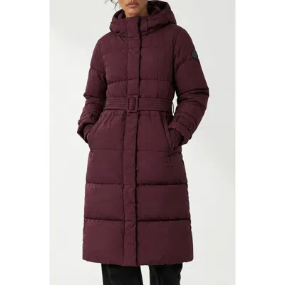 Noize Mara Belted Maxi Puffer Coat With Removable Hood In Fig