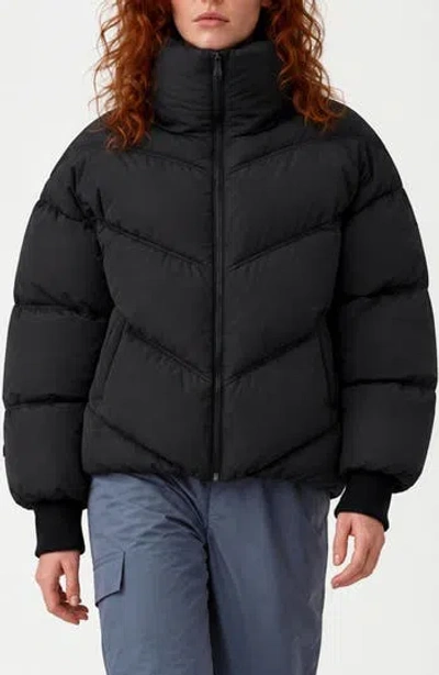 Noize Parise Quilted Puffer Jacket In Black