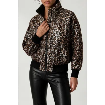Noize Zaylee Leopard Printed Bomber Jacket In Black Leopard