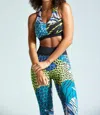 NOLI ELEVATE BRA PANTHERA IN MULTI