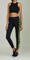 NOLI NEON LEOPARD LEGGING IN BLACK