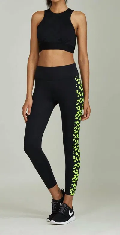 Noli Neon Leopard Legging In Black