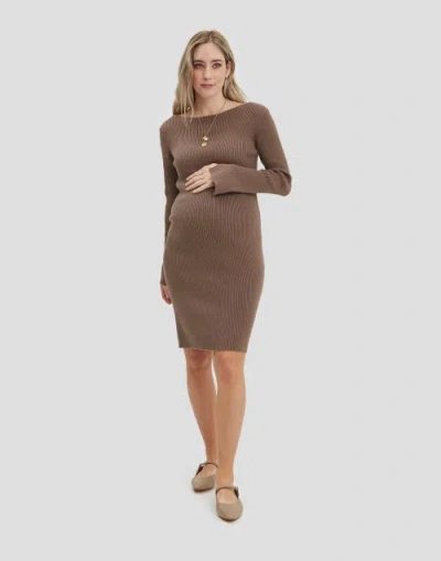 Nom Maternity Hudson Maternity & Nursing Long Sleeve Dress In Brown