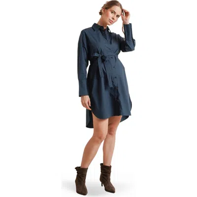 Nom Maternity Weekday Maternity & Nursing Button-down Shirtdress In Blue