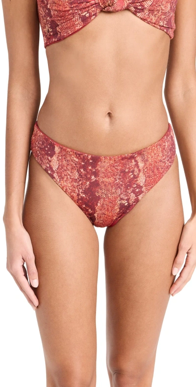 Nomads Playa Bikini Bottoms Merlot