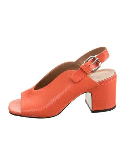 Pre-owned Nomasei Leather Animal Print Sandals In Orange