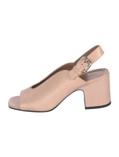 Pre-owned Nomasei Leather Animal Print Sandals In Pink