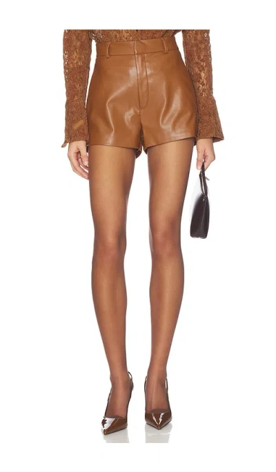 Nonchalant Label Robbie Short In Brown