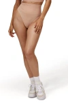 Noodyskin Seamless Scuplt High-waisted Panties In Nude