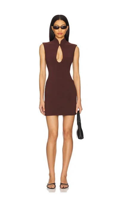 Nookie Gia Mini Dress In Cocoa