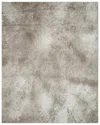 Noori Rug Felix Machine Washable Area Rug In Beige