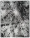 Noori Rug Felix Machine Washable Area Rug In Grey