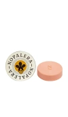 Nopalera Botanical Lotion Bar