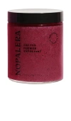 Nopalera Cactus Body Polish