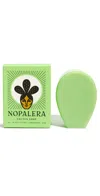 Nopalera Planta Futura Cactus Soap Planta Futura In Planta Futura