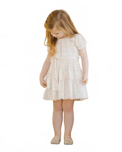 Noralee Kids' Annette Dress In Floral Stripe In Multi