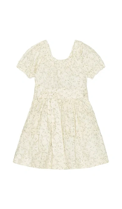 Noralee Annette Dress In Vines
