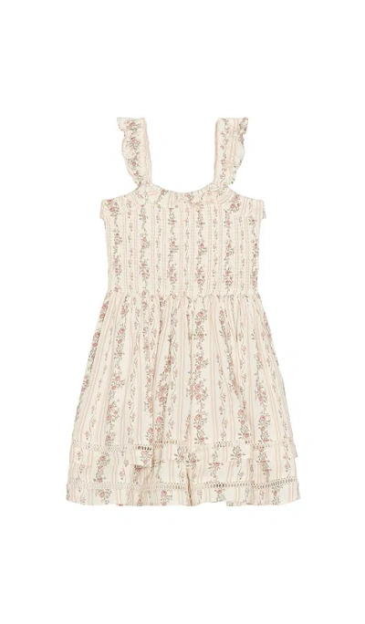 Noralee Birdie Dress In Spring Floral Stripe