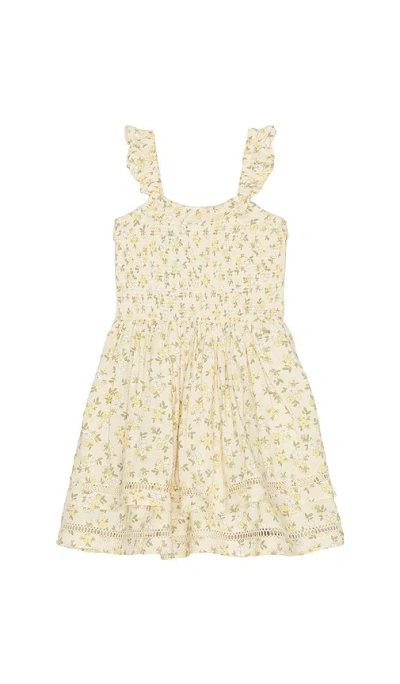 Noralee Birdie Dress In Lemon Meadow