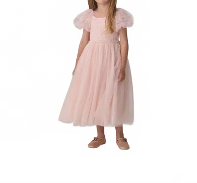 Noralee Kids Dorothy Dress In Blush In Pink