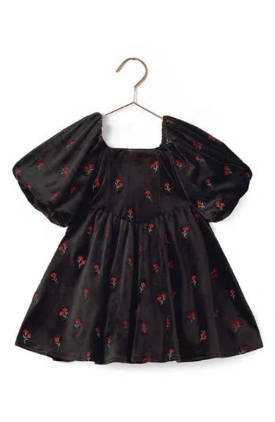 Noralee Kids' Nina Velvet Floral Dress In Black