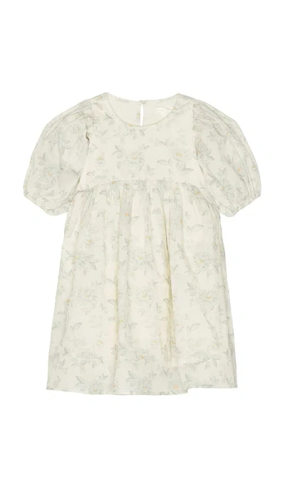 Noralee Luna Dress In White