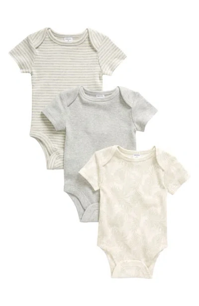 Nordstrom Assorted 3-pack Cotton Bodysuits In Ivory- Grey Palm Pack