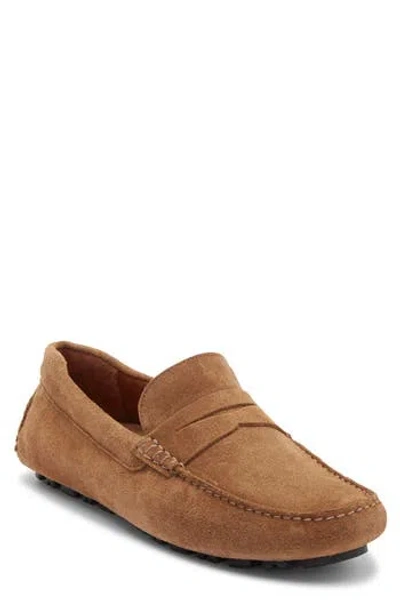 Nordstrom Brody Driving Penny Loafer In Brown